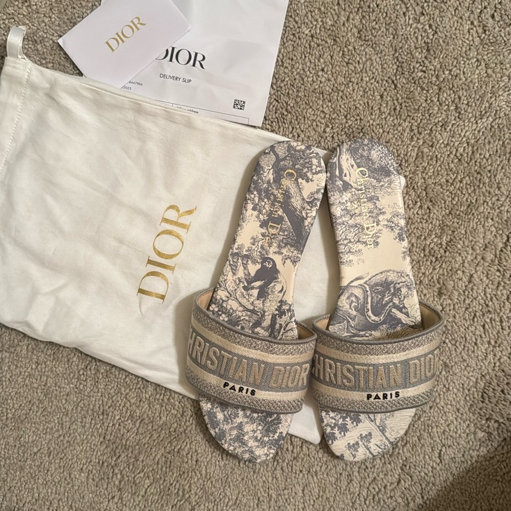 Dior Dway Slide